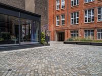 several plants sit in decorative concrete planters along the sidewalk of a building that is very modern