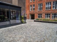 several plants sit in decorative concrete planters along the sidewalk of a building that is very modern