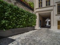 a green shrub near a gray building and a brick walkway with a bicycle rack in it