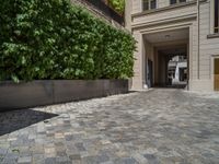 a green shrub near a gray building and a brick walkway with a bicycle rack in it