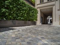 a green shrub near a gray building and a brick walkway with a bicycle rack in it