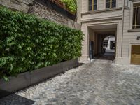 a green shrub near a gray building and a brick walkway with a bicycle rack in it