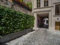 a green shrub near a gray building and a brick walkway with a bicycle rack in it