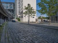 Berlin's Cobblestone Roads Under Clear Skies