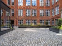 an empty parking lot with plants in the ground and on the side of the building, there is an enclosed area and windows