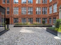 an empty parking lot with plants in the ground and on the side of the building, there is an enclosed area and windows