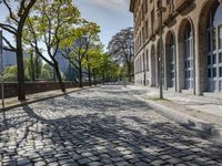 an empty cobble stone road next to tall buildings and trees under a bright blue sky