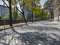 an empty cobble stone road next to tall buildings and trees under a bright blue sky