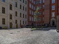 a green shrub near a gray building and a brick walkway with a bicycle rack in it