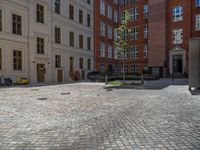 a green shrub near a gray building and a brick walkway with a bicycle rack in it