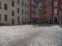 a green shrub near a gray building and a brick walkway with a bicycle rack in it