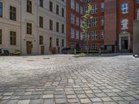 a green shrub near a gray building and a brick walkway with a bicycle rack in it