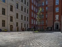 a green shrub near a gray building and a brick walkway with a bicycle rack in it