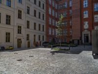 a green shrub near a gray building and a brick walkway with a bicycle rack in it