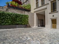 a green shrub near a gray building and a brick walkway with a bicycle rack in it