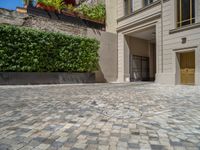 a green shrub near a gray building and a brick walkway with a bicycle rack in it