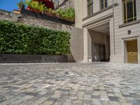 a green shrub near a gray building and a brick walkway with a bicycle rack in it