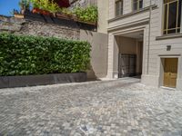 a green shrub near a gray building and a brick walkway with a bicycle rack in it