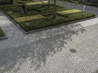 a large tree in a courtyard area with square plants and a stone walkway leading to each of the parks