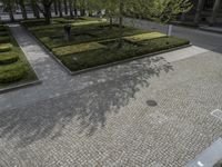 a large tree in a courtyard area with square plants and a stone walkway leading to each of the parks