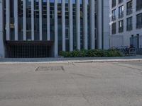 the side of a building with trees on either side and other bushes on the other side