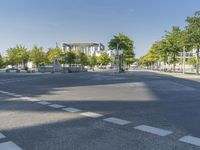 A Day in Berlin: Tree, Sunlight, and Road Surface