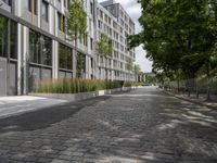 a stone street lined with lots of green plants and trees in front of building in urban area