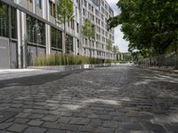 a stone street lined with lots of green plants and trees in front of building in urban area