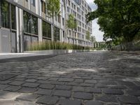 a stone street lined with lots of green plants and trees in front of building in urban area