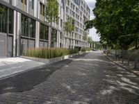 a stone street lined with lots of green plants and trees in front of building in urban area