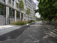 a stone street lined with lots of green plants and trees in front of building in urban area