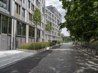 a stone street lined with lots of green plants and trees in front of building in urban area