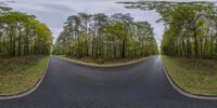 a photo showing a double road with trees and road going through it on a cloudy day