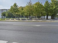 the empty street is next to trees and some buildings in the distances to it