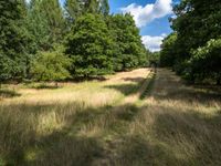 a wide view of an open field and trees behind it with blue skies in the background