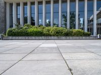 a man riding a skateboard down a cement walk way near tall windows and bushes