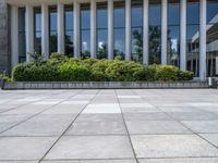 a man riding a skateboard down a cement walk way near tall windows and bushes