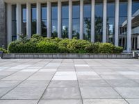 a man riding a skateboard down a cement walk way near tall windows and bushes