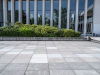 a man riding a skateboard down a cement walk way near tall windows and bushes