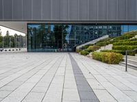 an empty stone walkway in front of a building with lots of windows and stairs with grass on the bottom