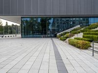 an empty stone walkway in front of a building with lots of windows and stairs with grass on the bottom