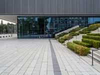 an empty stone walkway in front of a building with lots of windows and stairs with grass on the bottom