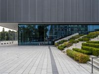 an empty stone walkway in front of a building with lots of windows and stairs with grass on the bottom