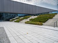 the courtyard with a row of bushes and stairs leading to it is next to a building