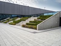 a large open courtyard and stairs with many trees in it by the building and the entrance