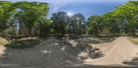 a dirt road in the shade of trees, with trees in the background and sun shining on the side