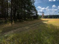 Berlin Forest Dirt Track Road 001