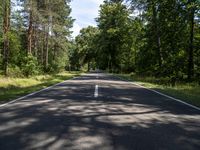 the empty roadway through the middle of a forest with pine trees and no one riding in it