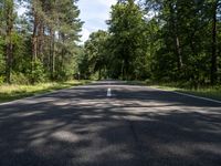 the empty roadway through the middle of a forest with pine trees and no one riding in it