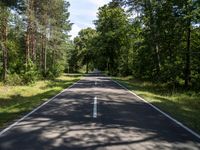 the empty roadway through the middle of a forest with pine trees and no one riding in it